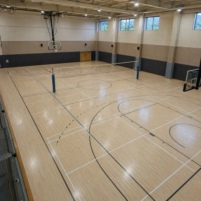 Regional multi-sport indoor court project